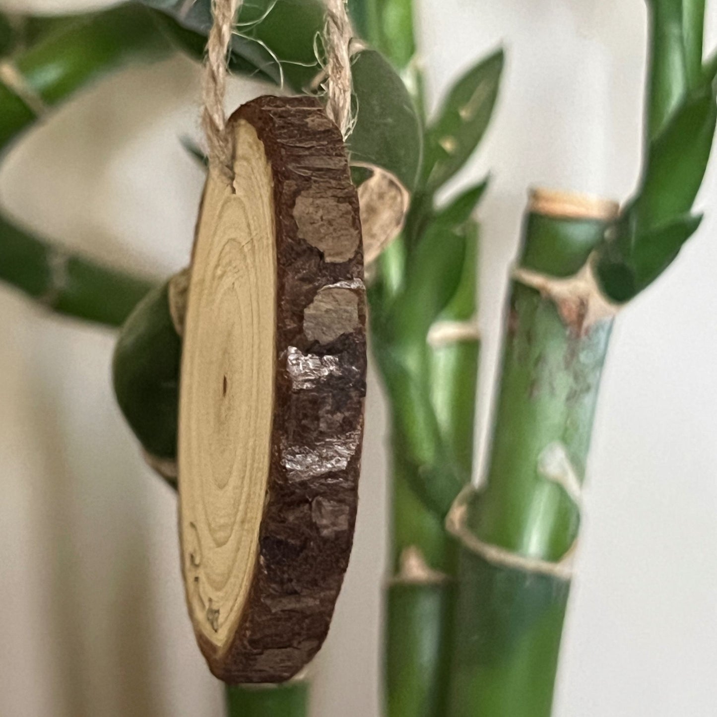 Mini Round Enchanted Tree Wall Hanging