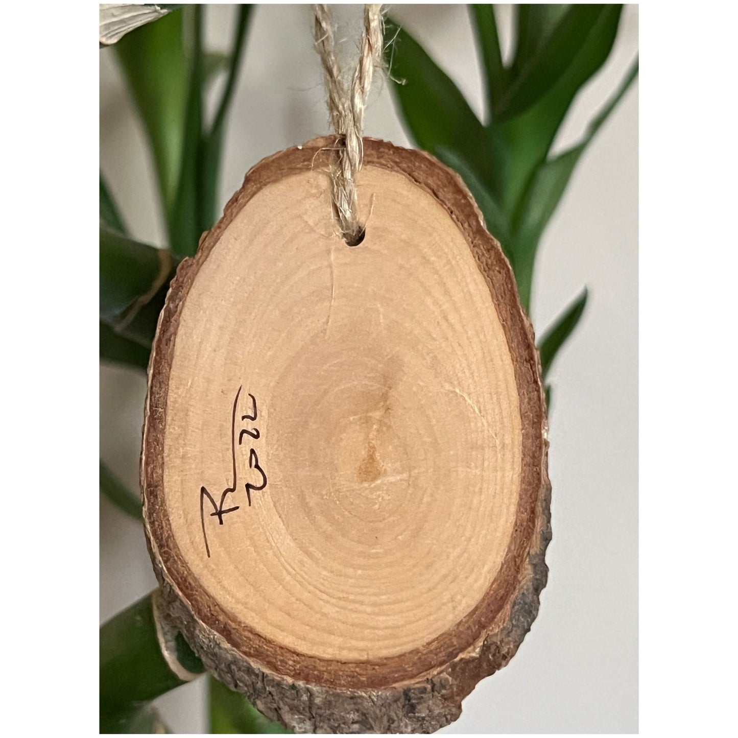 Sparkly Brown Tree Trunk - Mini Enchanted Tree Wall Hanging