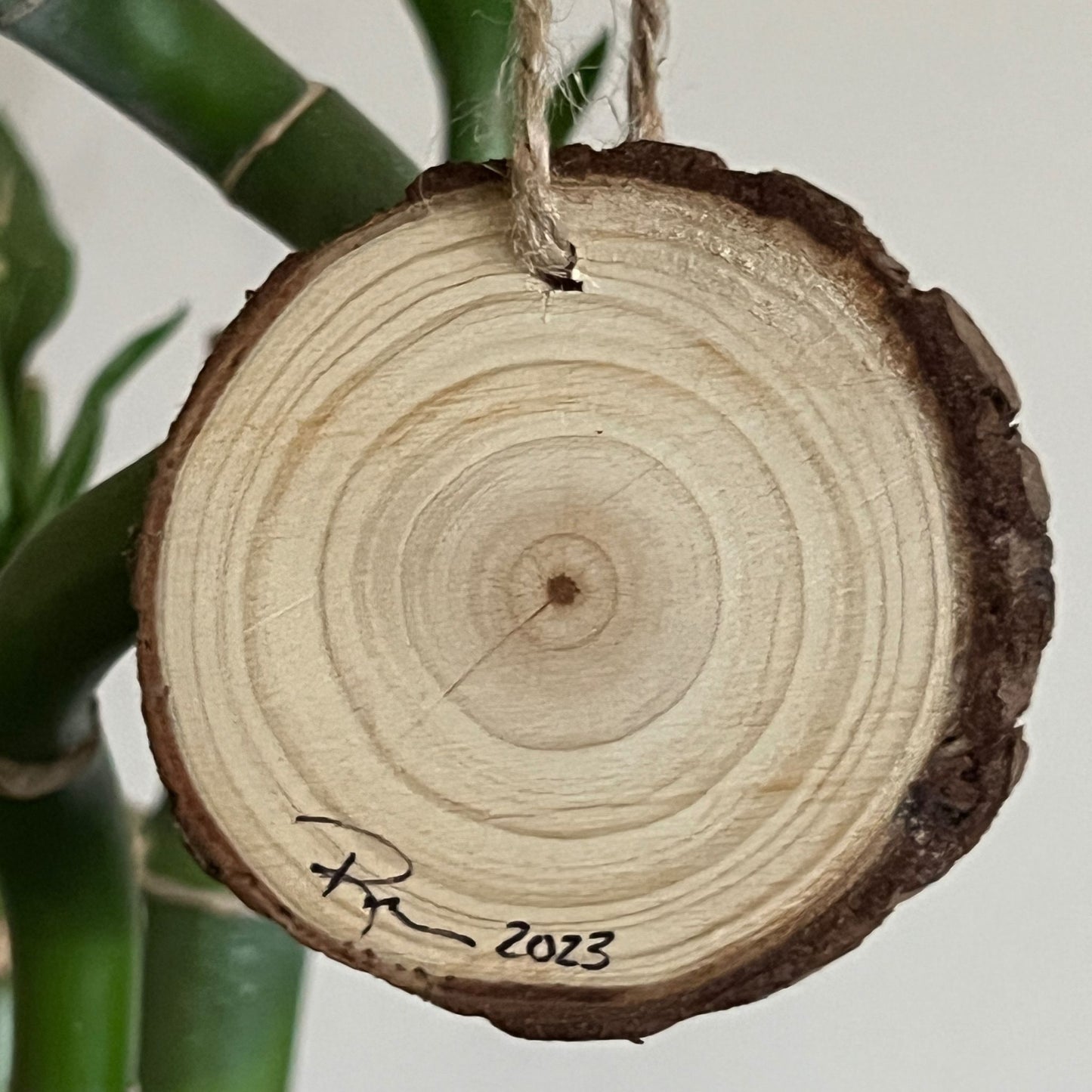 Mini Round Enchanted Tree Wall Hanging