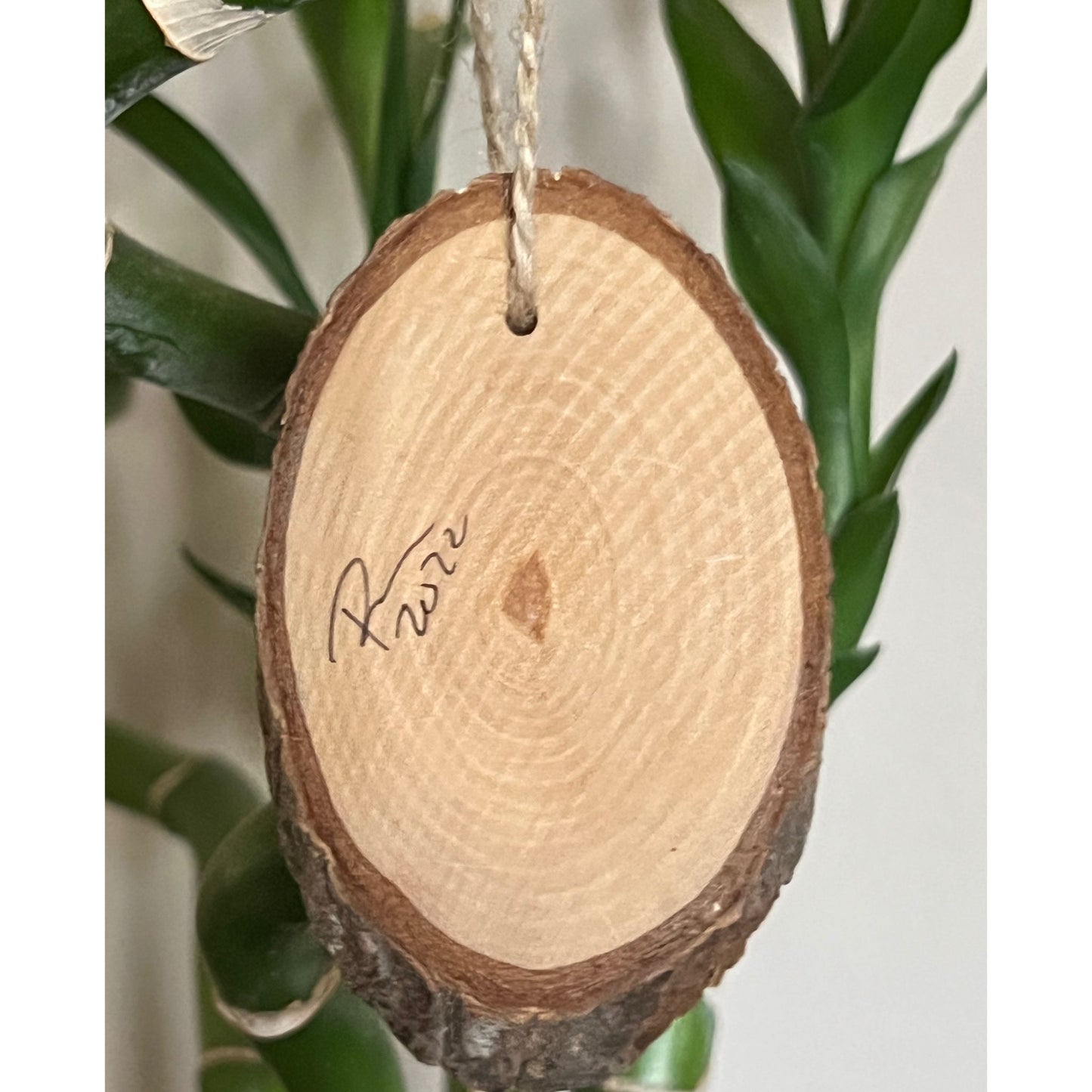 Swirly Branches - Mini Enchanted Tree Wall Hanging