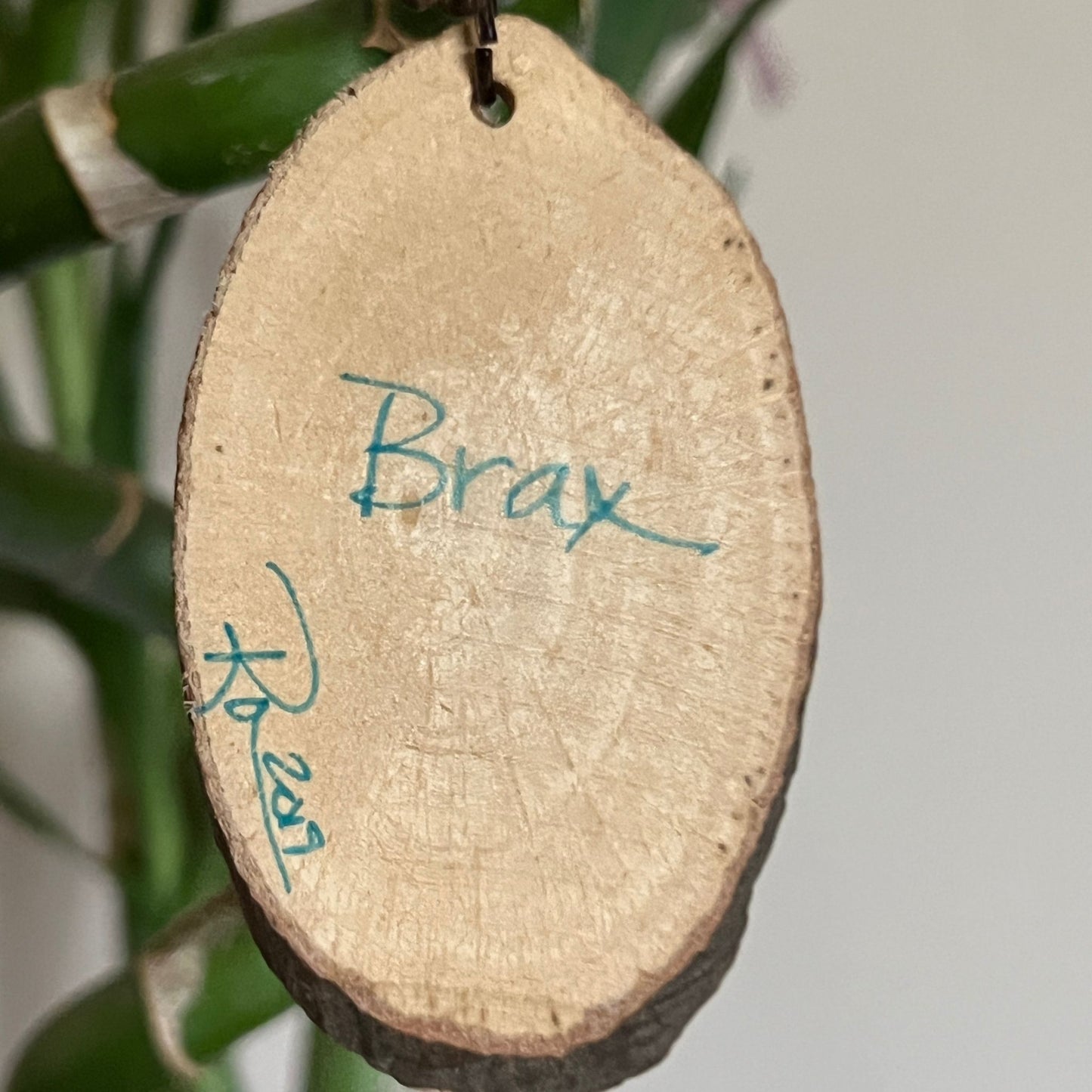 Enchanted Flower Pendant - Brax